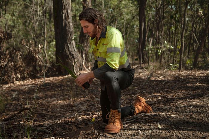 Ecologist Mark McVeigh planting a tree in bushland