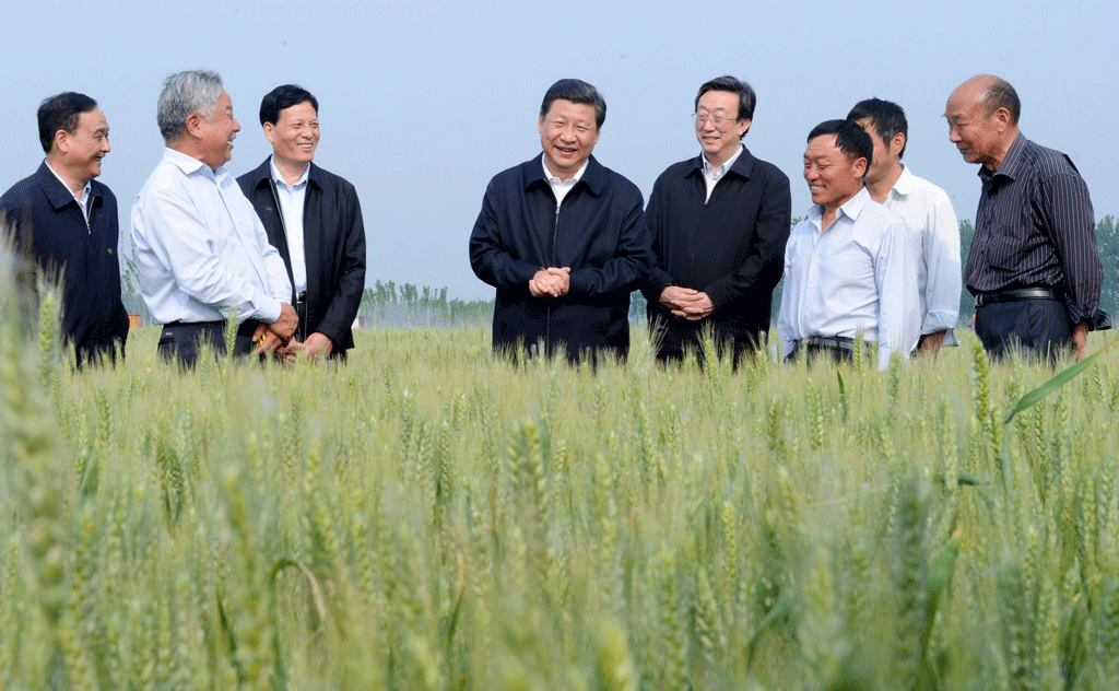 Xi Jinping, centre, on an agricultural inspection tour in Henan